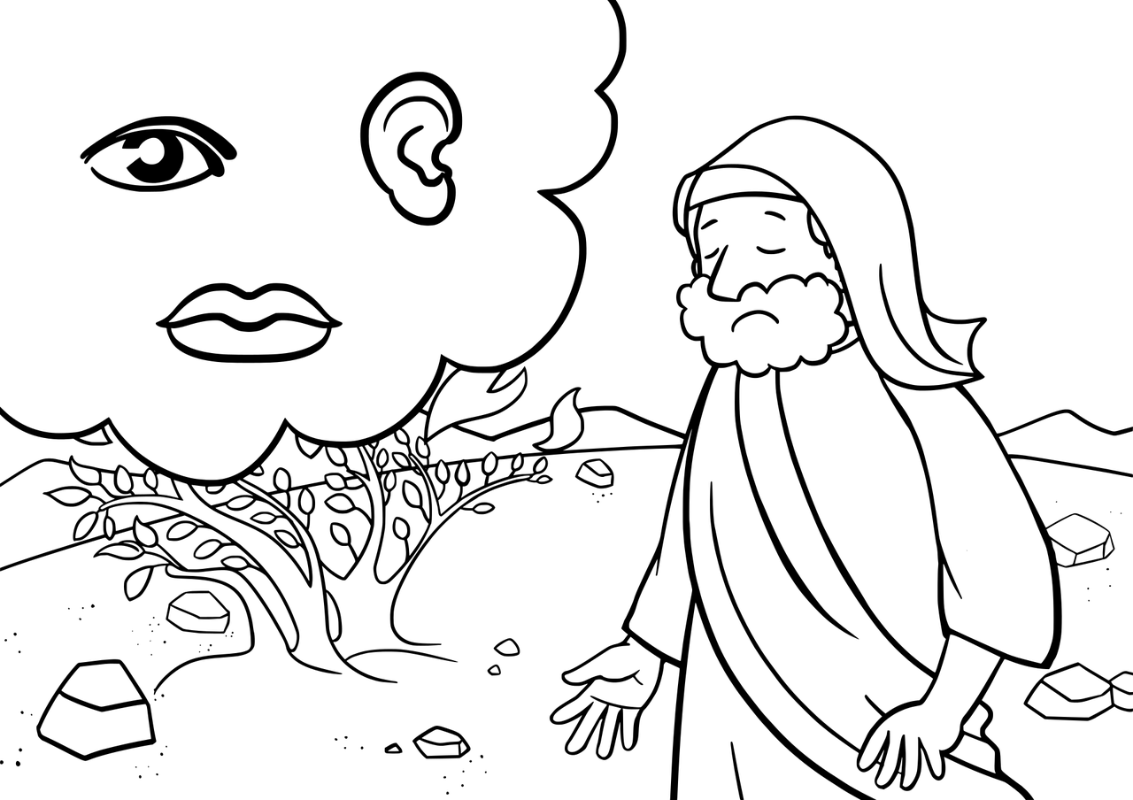 传承古韵文化手抄报