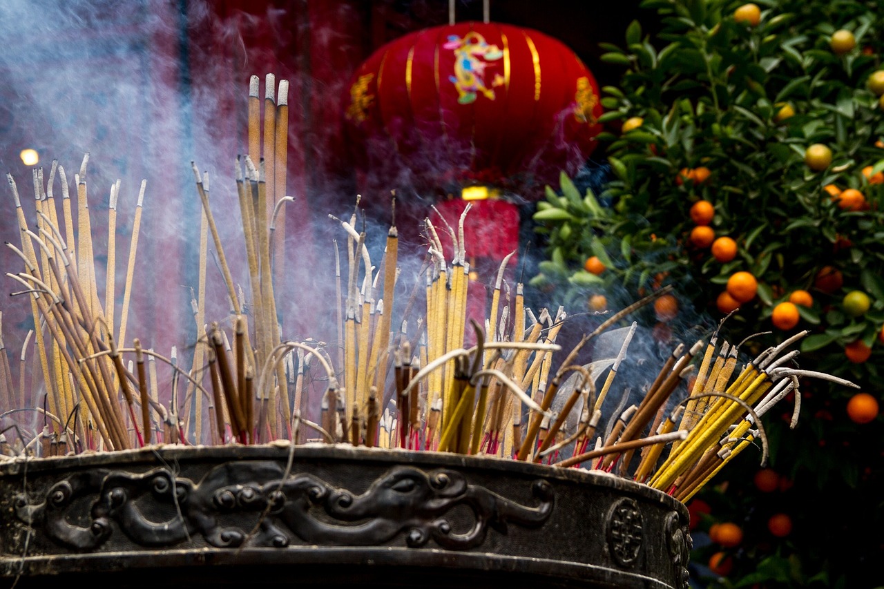 杭州文化艺术中心，梅花香自苦寒来