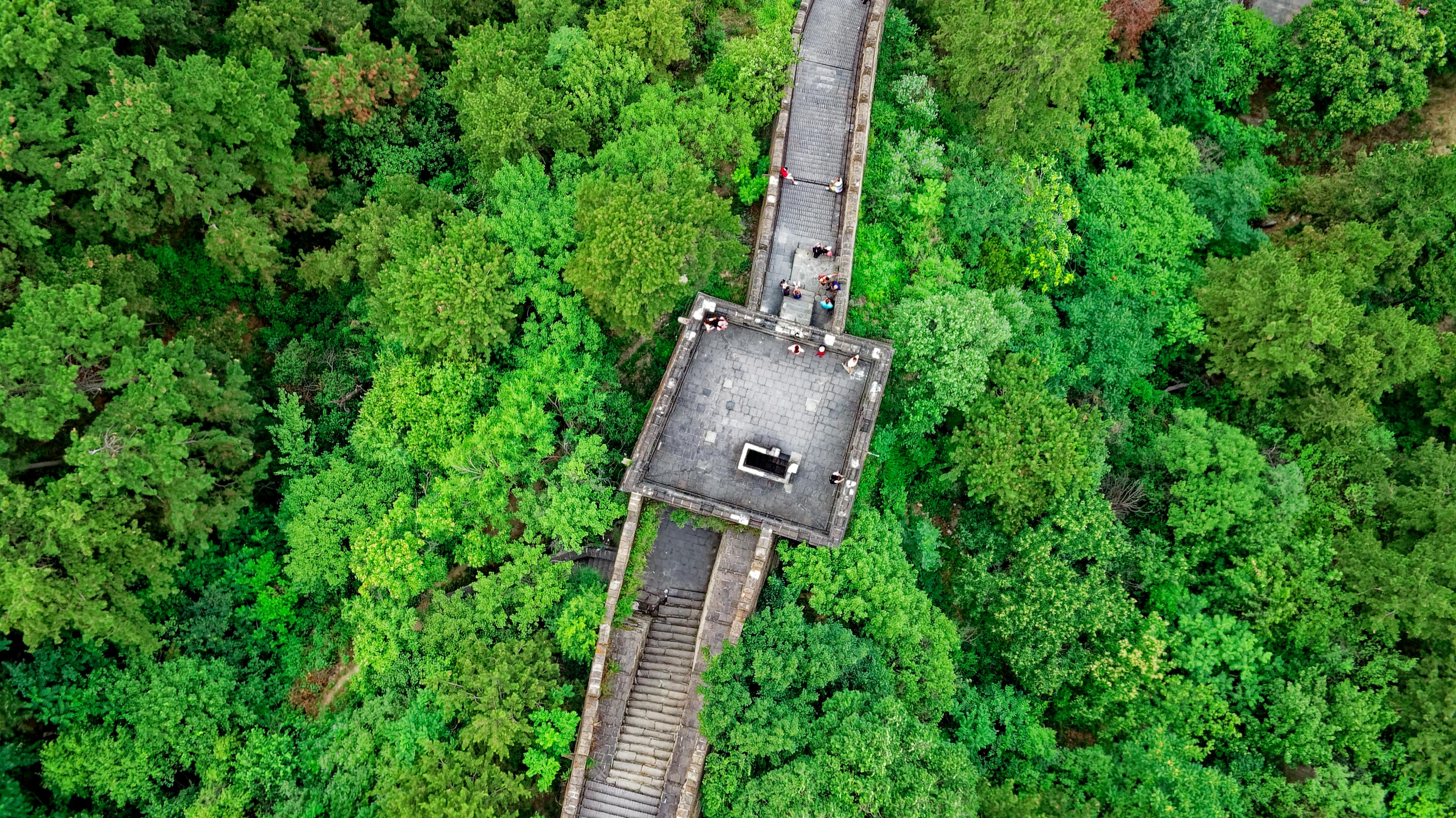 传承中华文化，桥梁与纽带
