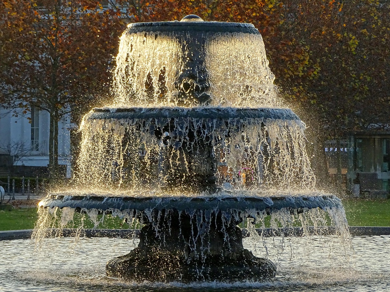 温问雁