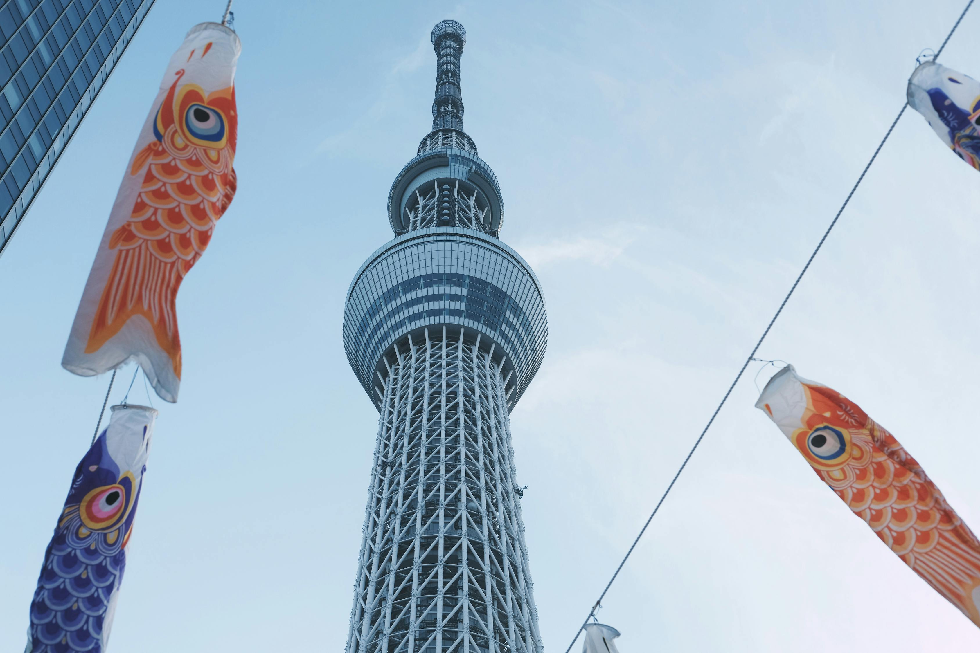 中日文化的相似之处，跨越时空的共鸣